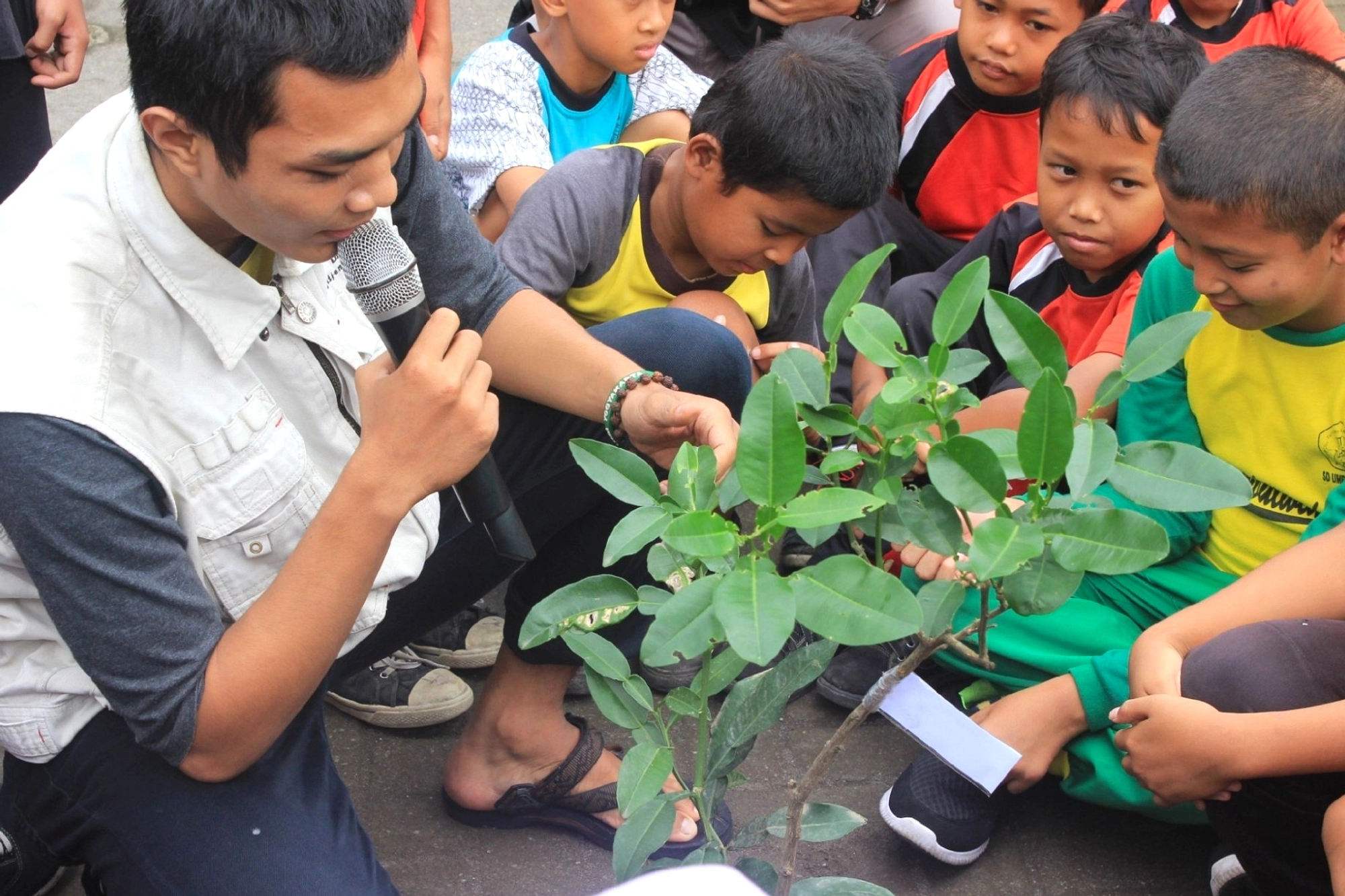 10 Ide Kegiatan Hari Bumi di Sekolah: Bersih, Hijau, Kreatif