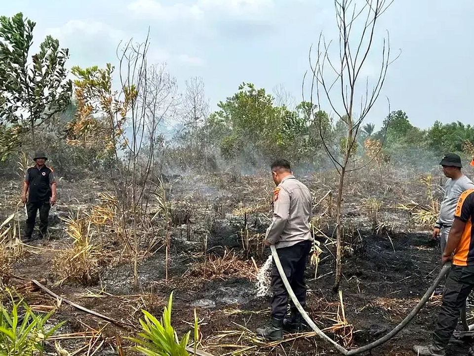 11 Hektare Lahan Terbakar di Sumsel, Sebagian Masih Berasap