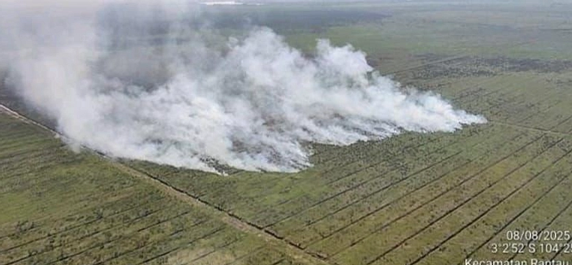 11 Kebakaran Hutan dan Lahan Melanda Enam Daerah di Sumsel