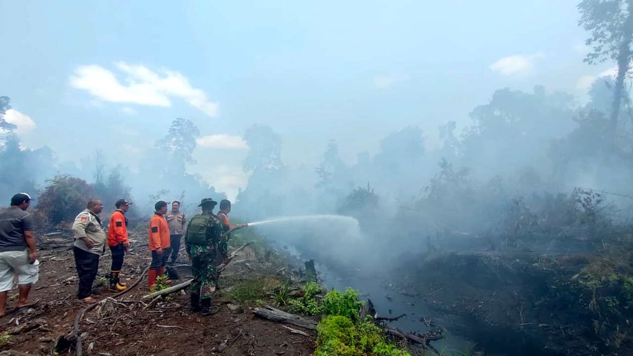 1.212 Hektare Terbakar, 409 Penerbangan Terganggu Akibat Karhutla