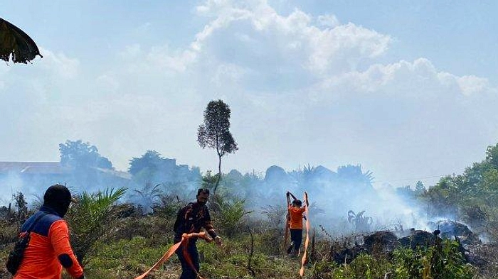 139 Hektare Lahan Terbakar, 8 Kabupaten di Jambi Siaga Karhutla