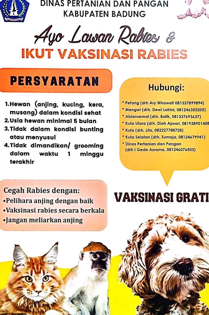 20 Kasus Rabies di Badung, Vaksinasi Mencapai 51,77%