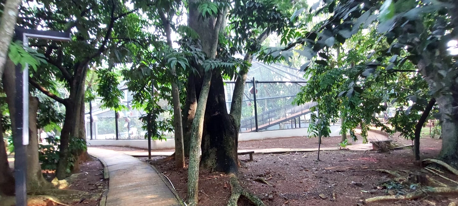 30 Menit Jalan Kaki Sehari Tingkatkan Jantung dan Mood
