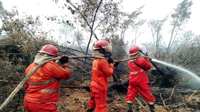 306 Kebakaran Hutan di Sumsel, 87 Kasus Terjadi dalam 9 Hari