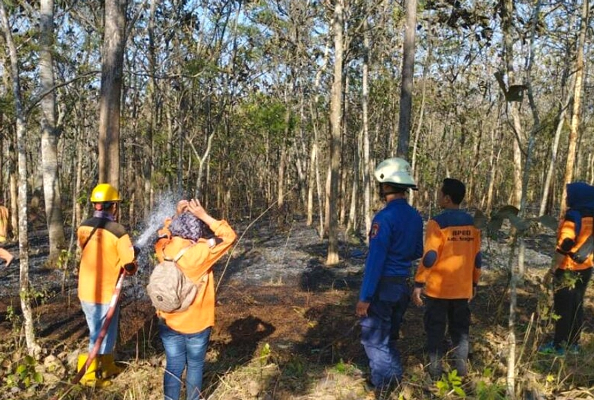 37 Kebakaran Hutan dan Lahan Melanda Jateng