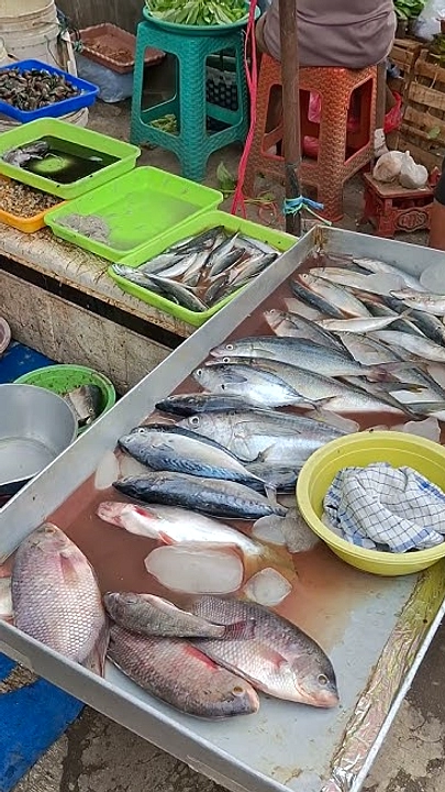 5 Cara Mudah Pilih Ikan Segar Sebelum Beli