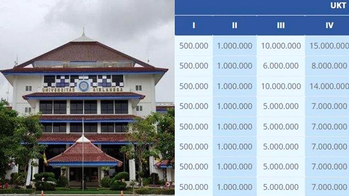 65% Lulusan Unair Masuk Swasta, Tracer Study 2025 Ungkap