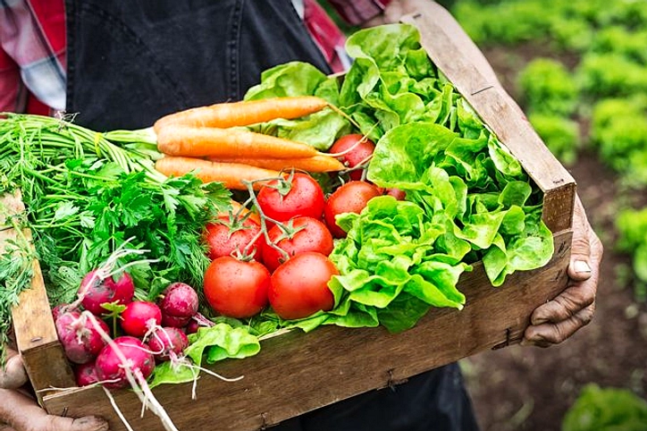 7 Makanan Sederhana Bantu Detoks Pas Setiap Lebaran