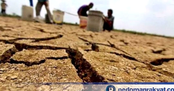 8 Kabupaten Siaga Kekeringan, Bojonegoro Probolinggo
