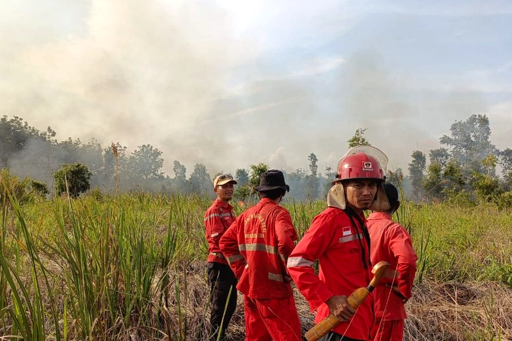 81 Hotspot Terdeteksi di Sumatera Selatan, Rekor 2026