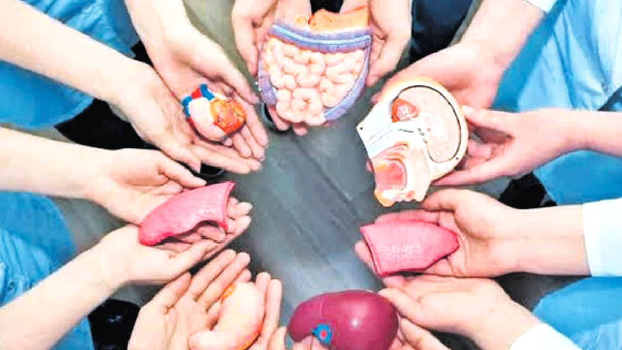 Aktris Kanada Tuntut MAID, Ingin Donasi Organ Setelah Mati