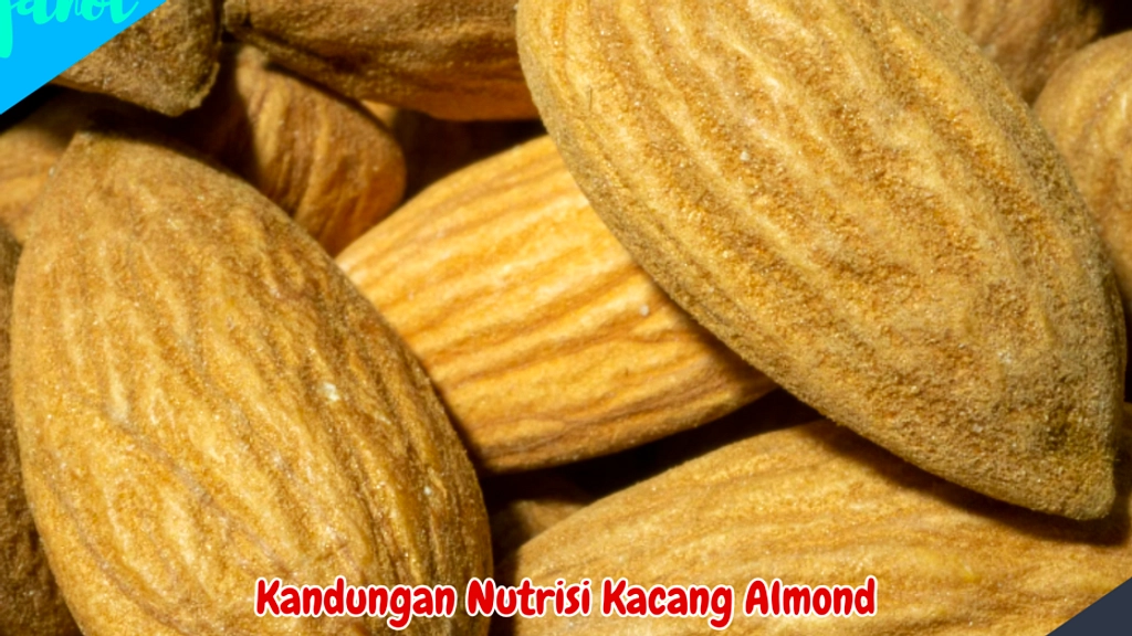 Almond vs. Kacang Tanah: Pilihan Nutrisi Jantung Kesehatan