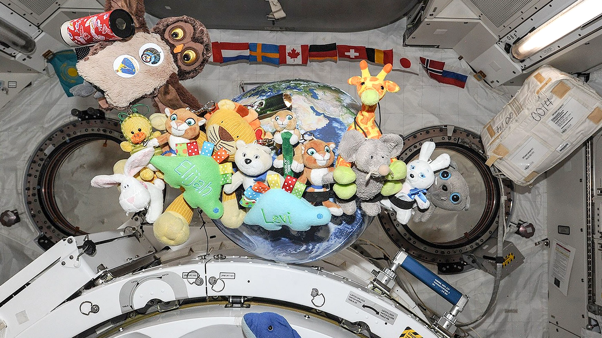 Anak 8 Tahun Desain Plushy Jadi Indikator Gravity Artemis