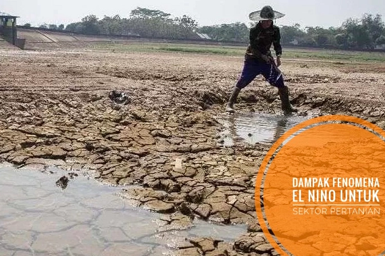 Anak Rentan Terhadap El Nino: Risiko Penyakit Meningkat