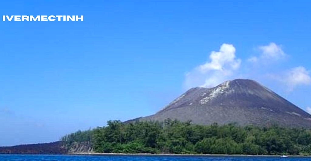 Anoa terekam lewat kamera jebak di Gunung Latimojong, Enrekang