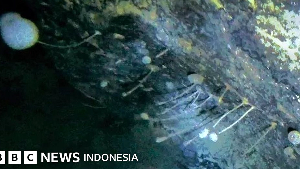 Antartika: Ditemukan Dunia Terbentuk Air 34 Juta Tahun Lalu