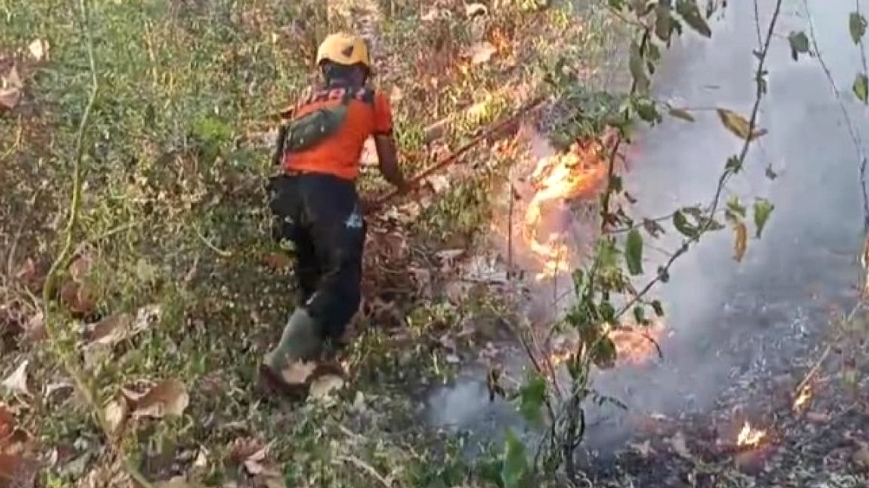 Api Hutan di Ponorogo Hanguskan 3 Hektare, Warga Buat Jalur Pemutus