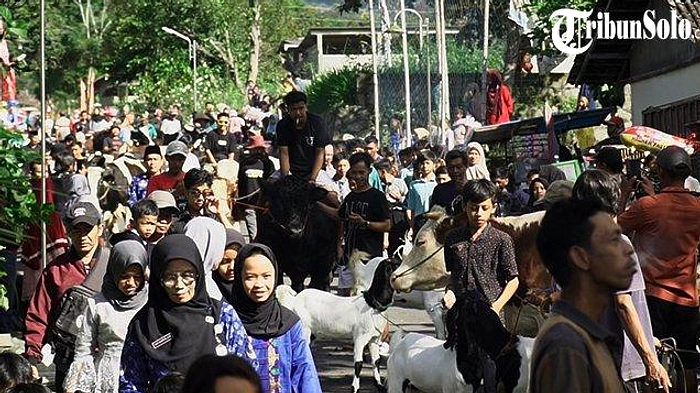 Arak‑Arak Sapi Boyolali: Tradisi Lebaran Pererat Kebersamaan