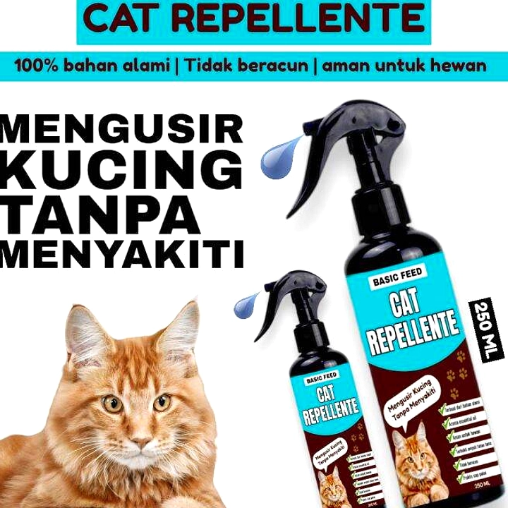 Bahan Dapur Alami Menjauhkan Kucing Liar di Bandung