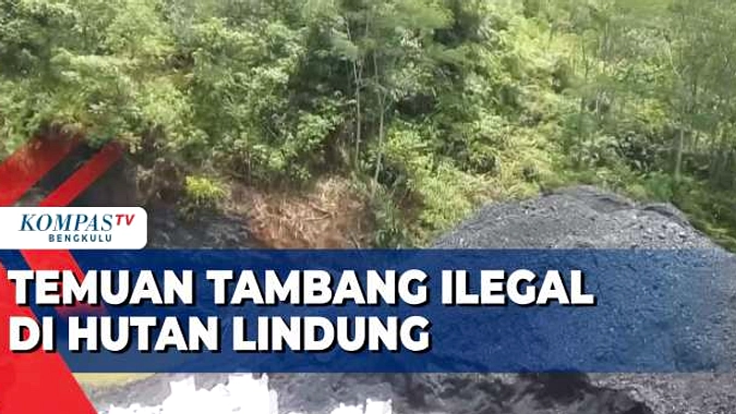 Bahlil Lahadalia evaluasi tambang ilegal di hutan lindung