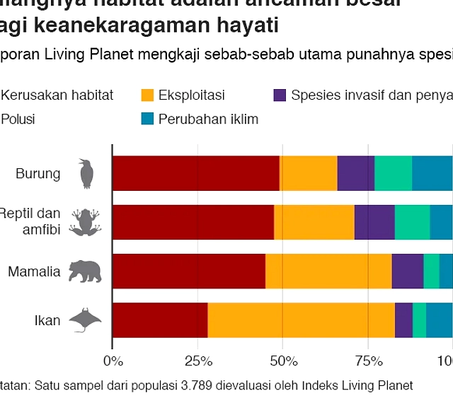 Bali Jadi Rute Utama Perdagangan Satwa Liar Burung