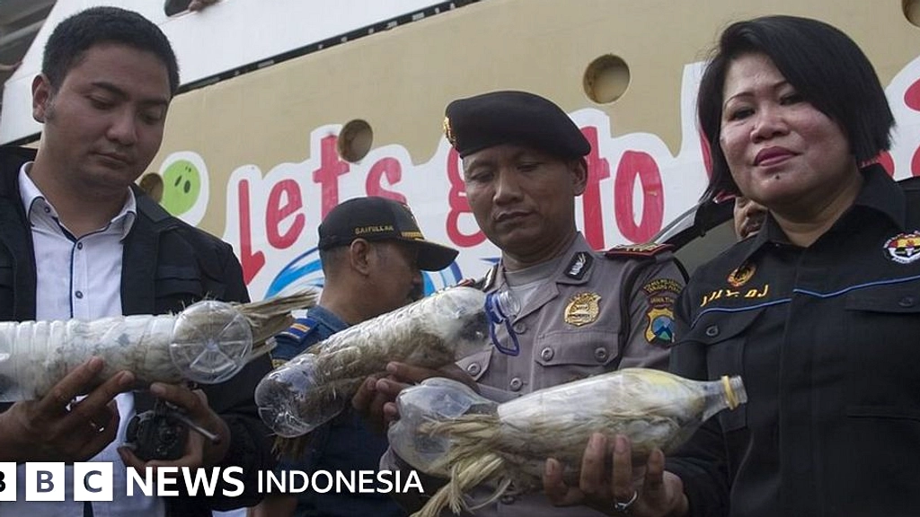 Bali Terungkap Rute Utama Perdagangan Burung Liar Indonesia