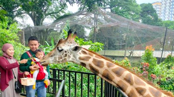 Bandung Zoo Pindah ke Faunaland, Harga Tiket Dipantau