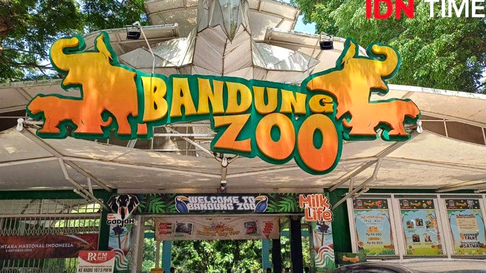 Bandung Zoo Siap Lelang Ulang, Wali Kota Tak Pasti Pemilik
