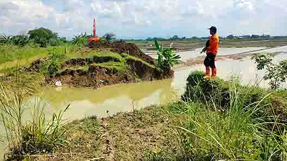 Banjir di Grobogan Menyerang 300 Rumah di Sukorejo