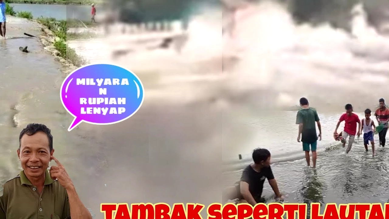 Banjir Rob Tenggelam Tambak Ikan, Kerugian Rp 50 Miliar