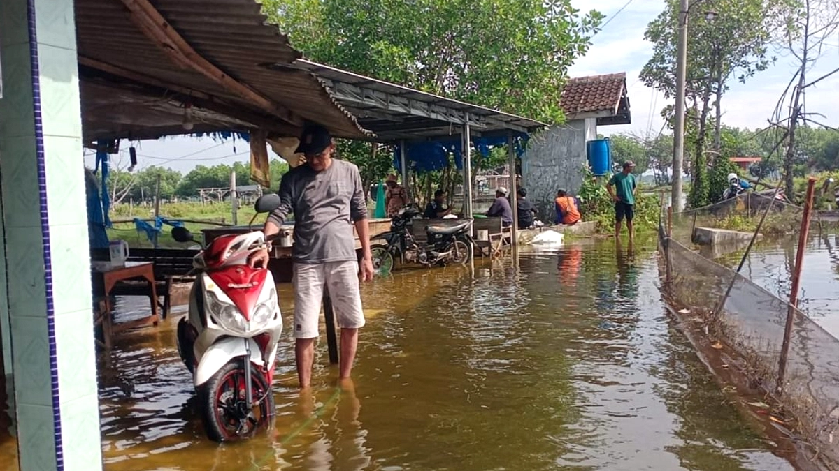 Banjir Rob Terganggu 69 Rumah Tunggulsari, Pati, Kabupaten