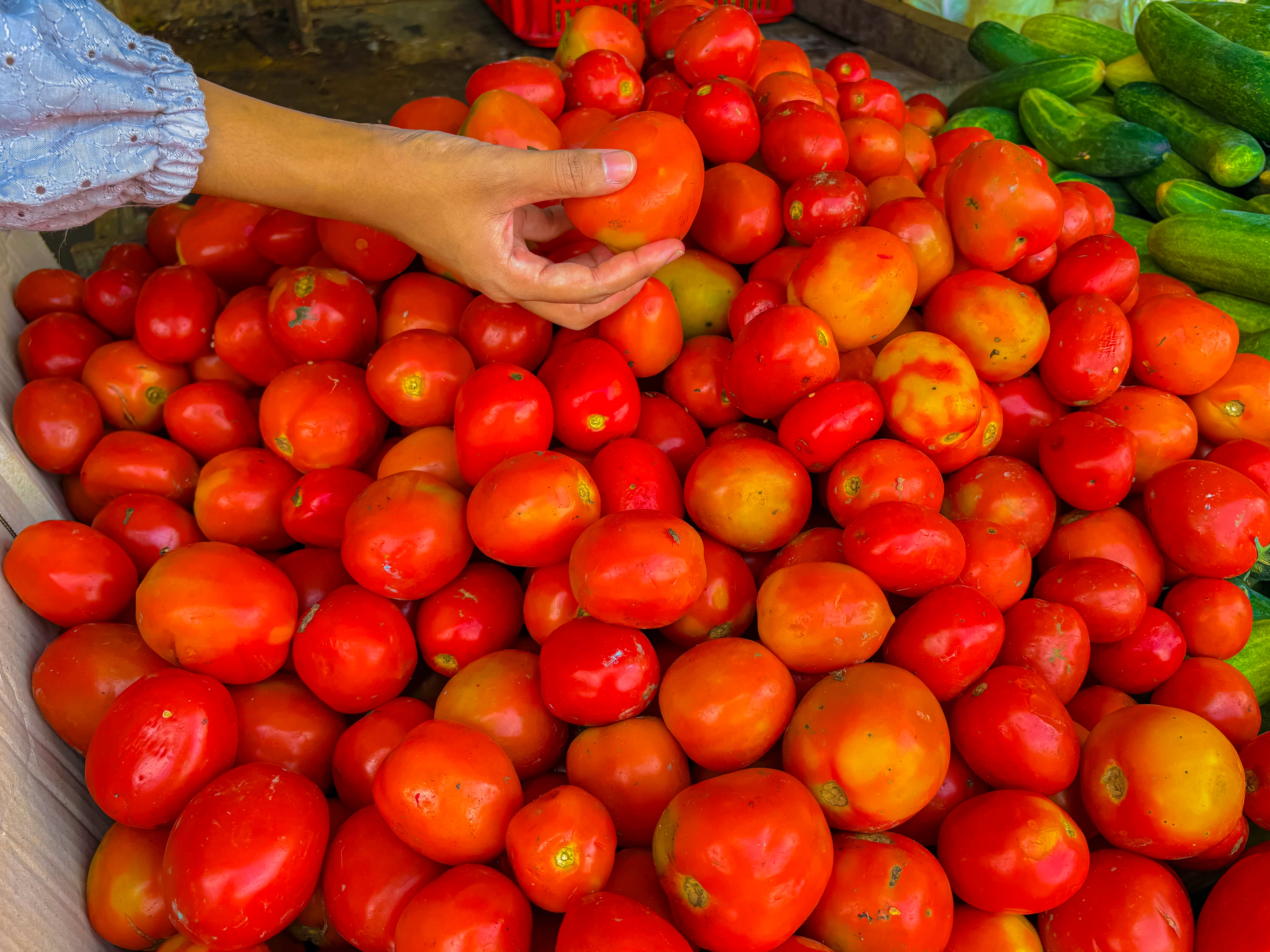 Bapanas Beli Tomat Petani Rp 6.500, Saat Harga Pasar Anjlok