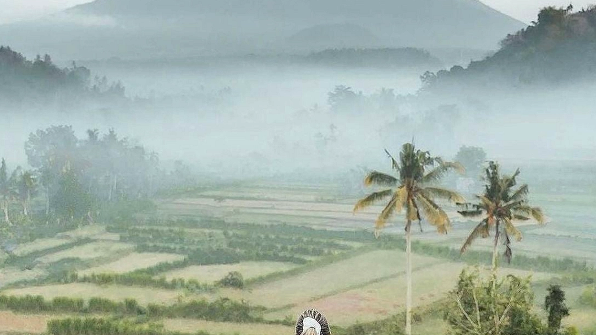 Belong Coffee di Klungkung Viral Tanpa Influencer, Menjadi Destinasi Keluarga