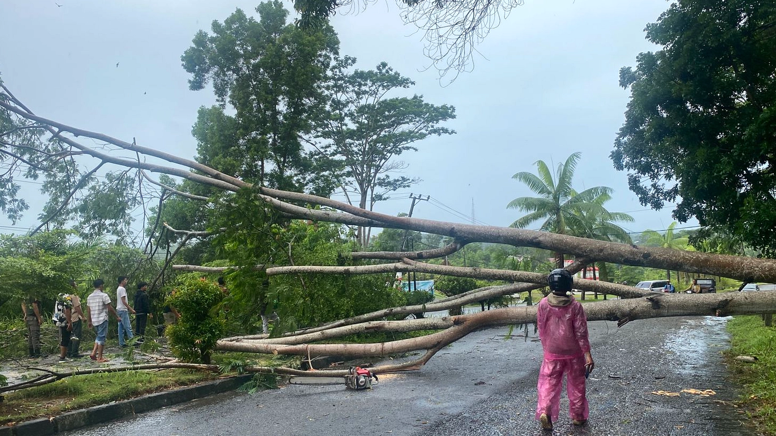 Bengkulu 25 Mei: Hujan Ringan di 6 Kota, Udara Kabur di 4