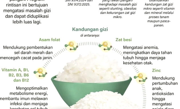 Beras Fortifikasi Mahal Diselidiki Pemerintah