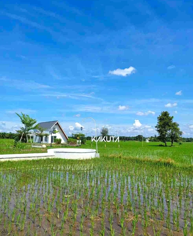 Binjai Menawarkan 5 Destinasi: Kebun Anggur&Wisata Berkuda