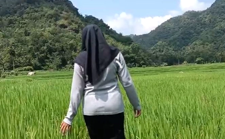 BMKG: El Nino “Godzilla” Menimbulkan Kemarau Panjang Indonesia