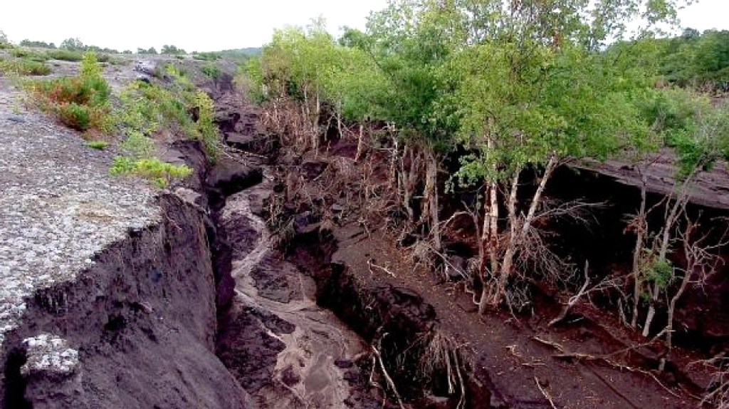 BMKG: Gempa Magnitudo 7 di Sesar Kendeng Bukan Peringatan