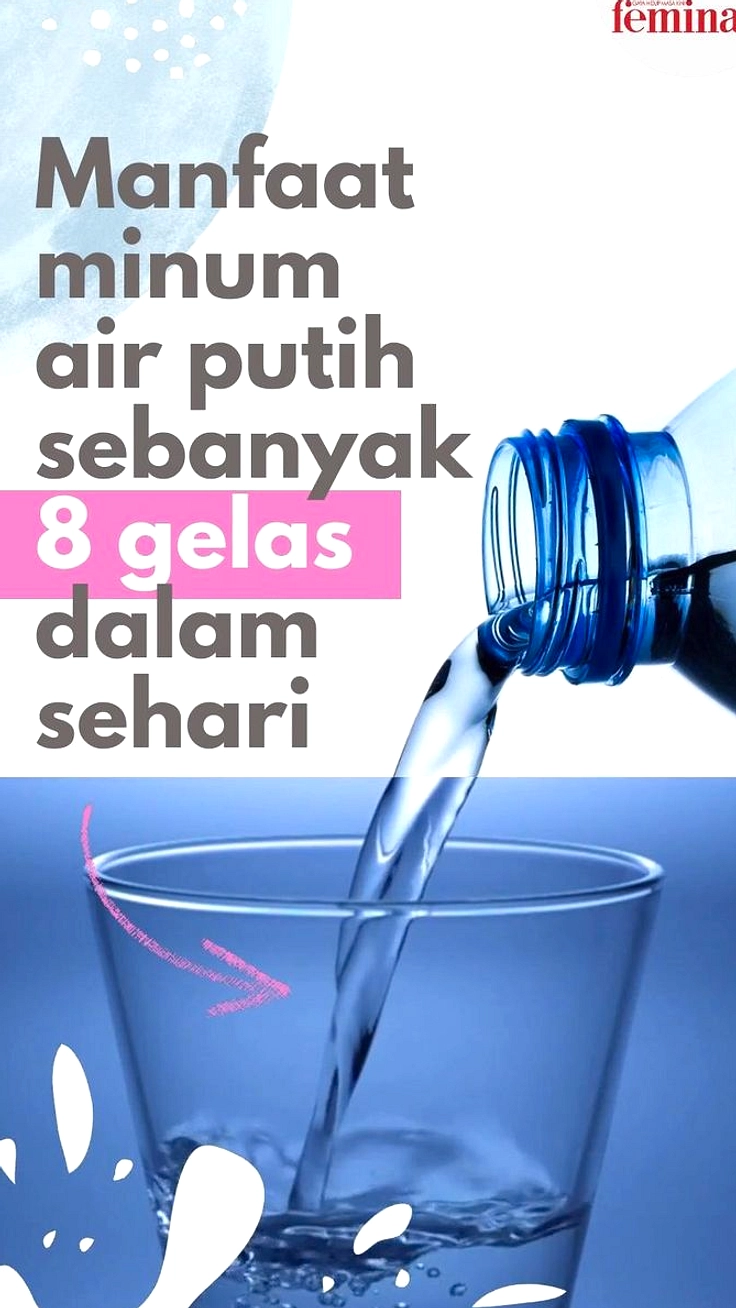 Bongkar Mitos Minum Air: Fakta Kebutuhan Cairan Sehari