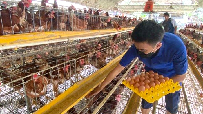 BP3D Luncurkan Program Infrastruktur di Daerah Jauh