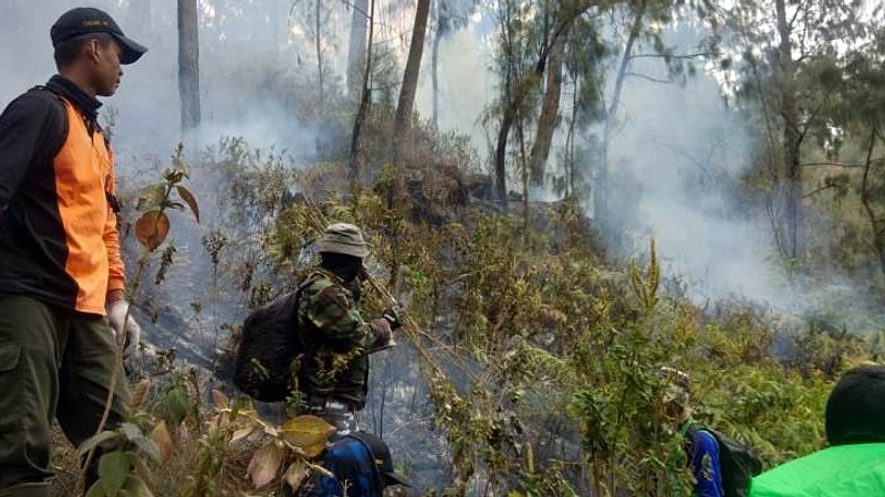 BPBD Jatim Catat 4 Kebakaran Hutan di Juni 2026
