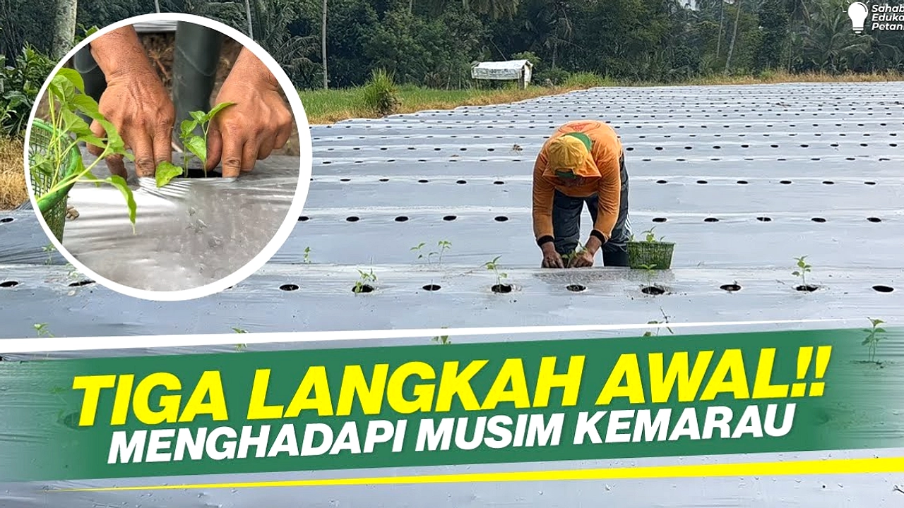 BPBD-PDAM Sumedang Siapkan Antisipasi Kekeringan