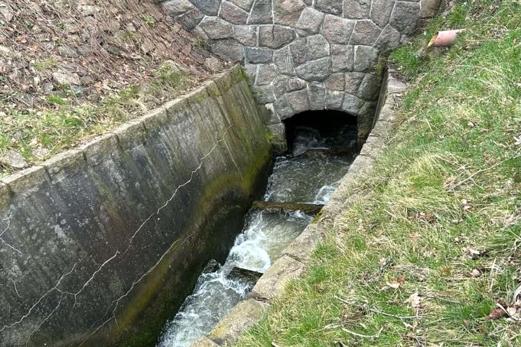 Buaya 1,5 Meter Dievakuasi dari Drainase Palu