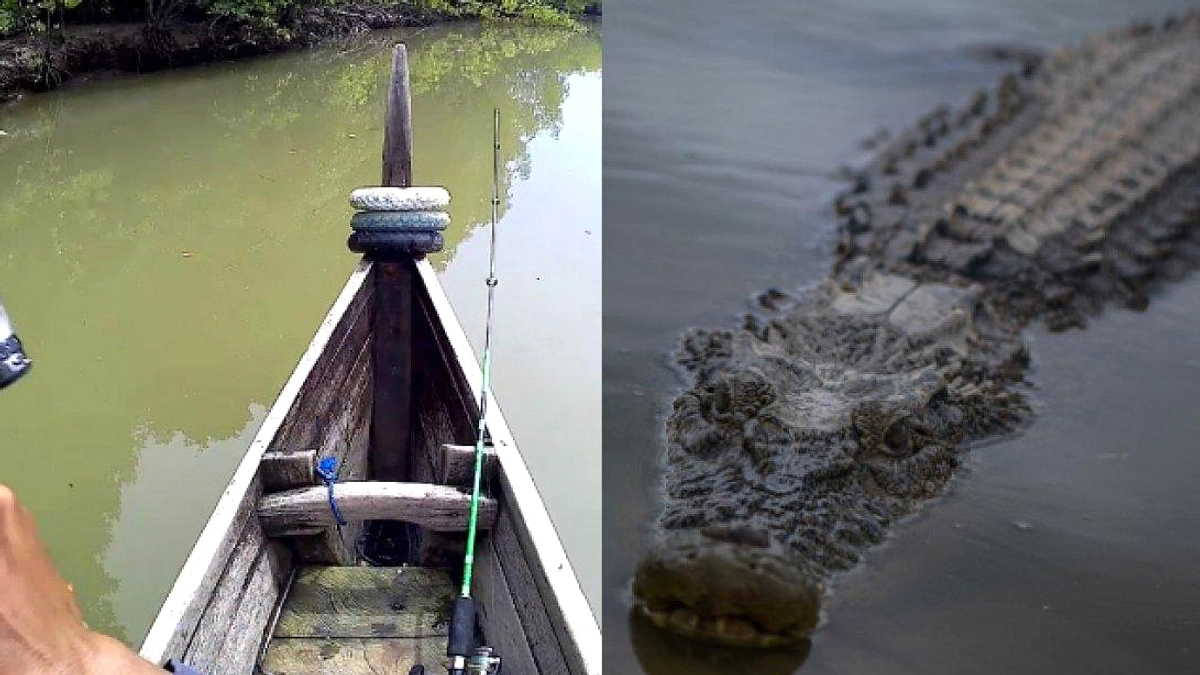 Buaya Muara Muncul di Kali Jagir, Warga Diimbau Waspada