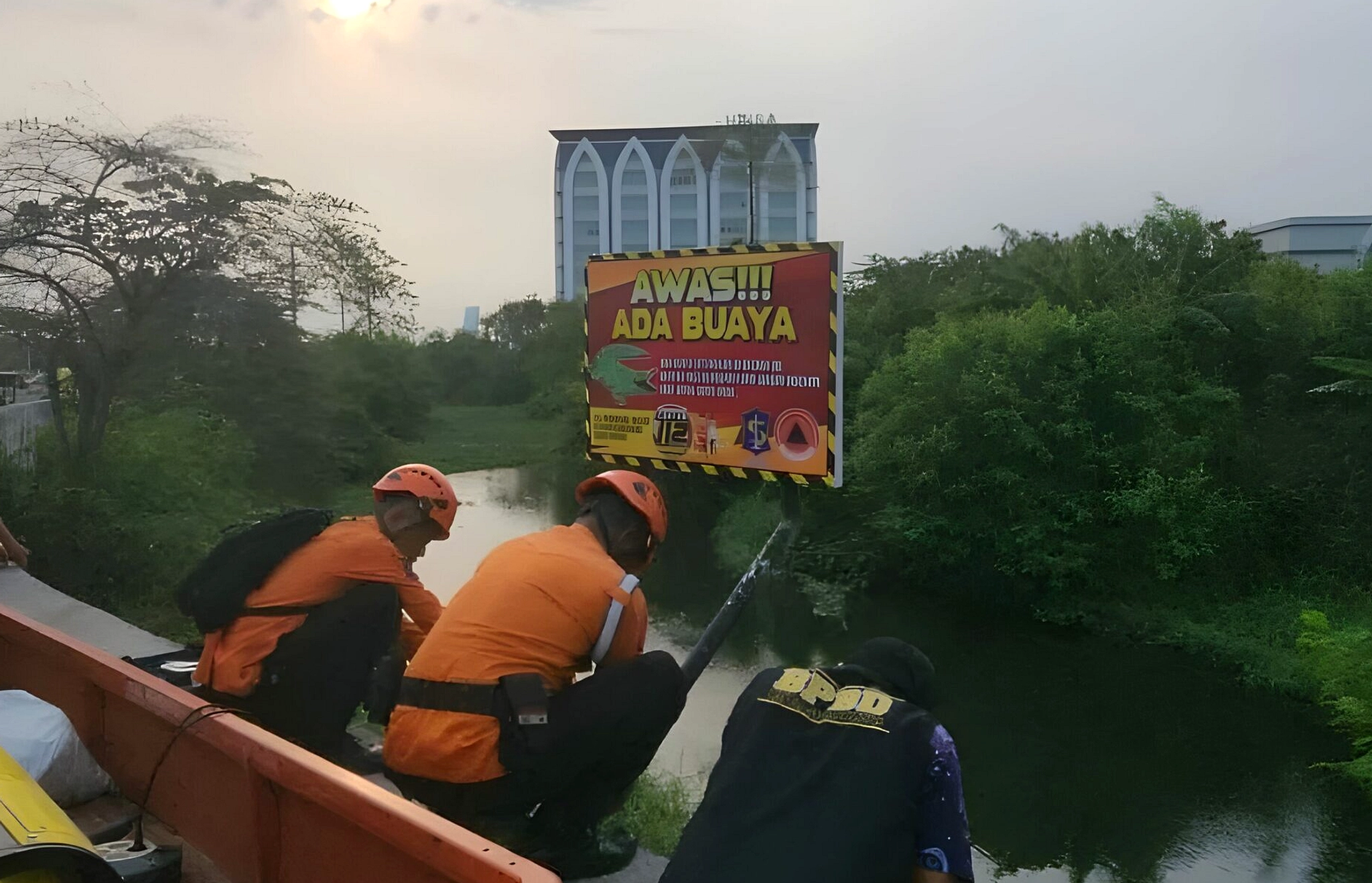 Buaya Muncul di Sungai Surabaya, Warga Waspada Penting
