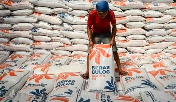 Bulog Capai Rekor Stok Beras 5,3 Juta Ton pada Ulang Tahun ke-59