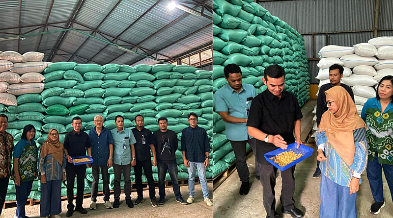 BULOG Salurkan 150 Ribu Ton Jagung Pakan untuk Peternak Mikro