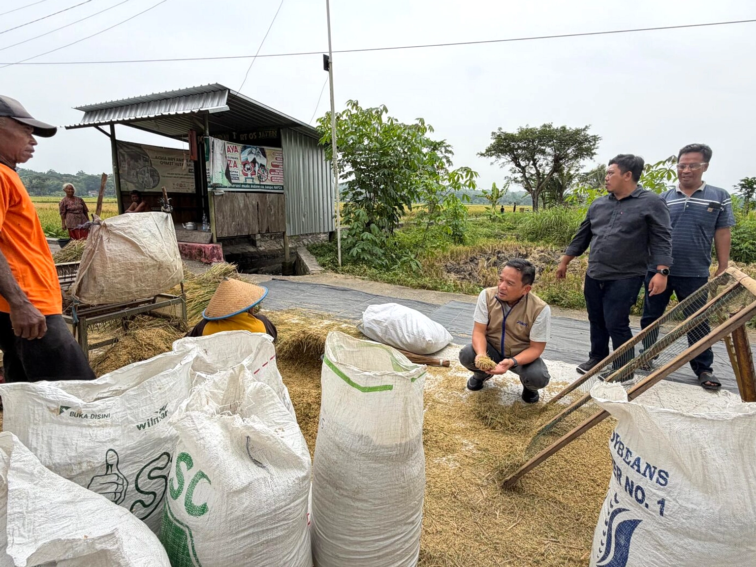 Bulog Serap 3,5 Juta Ton Beras, 87% Target Tercapai