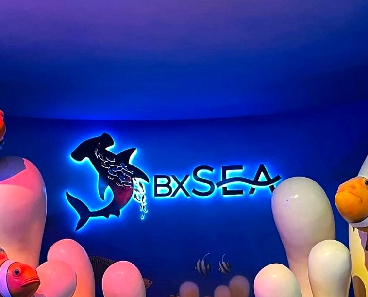 BXSea Buka Eksibisi Kuda Laut Perut Besar, Kerja Sama Jepang