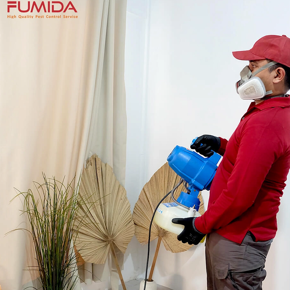 Cara Sederhana Tangkap Lalat Buah di Rumah Tanpa Bahan Mahal